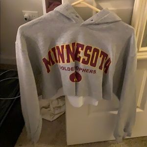 Cropped Minnesota hoodie
